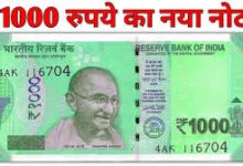 1000 new note